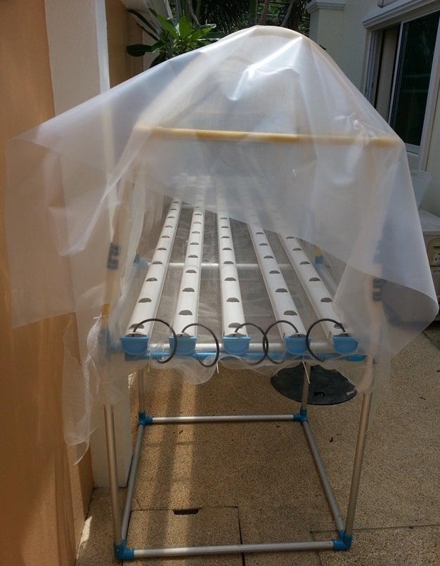 Вид гидропонной установки сзади