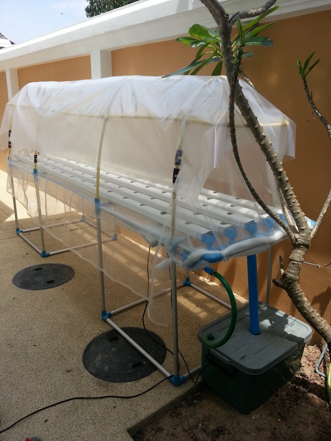 Вид гидропонной установки с переди